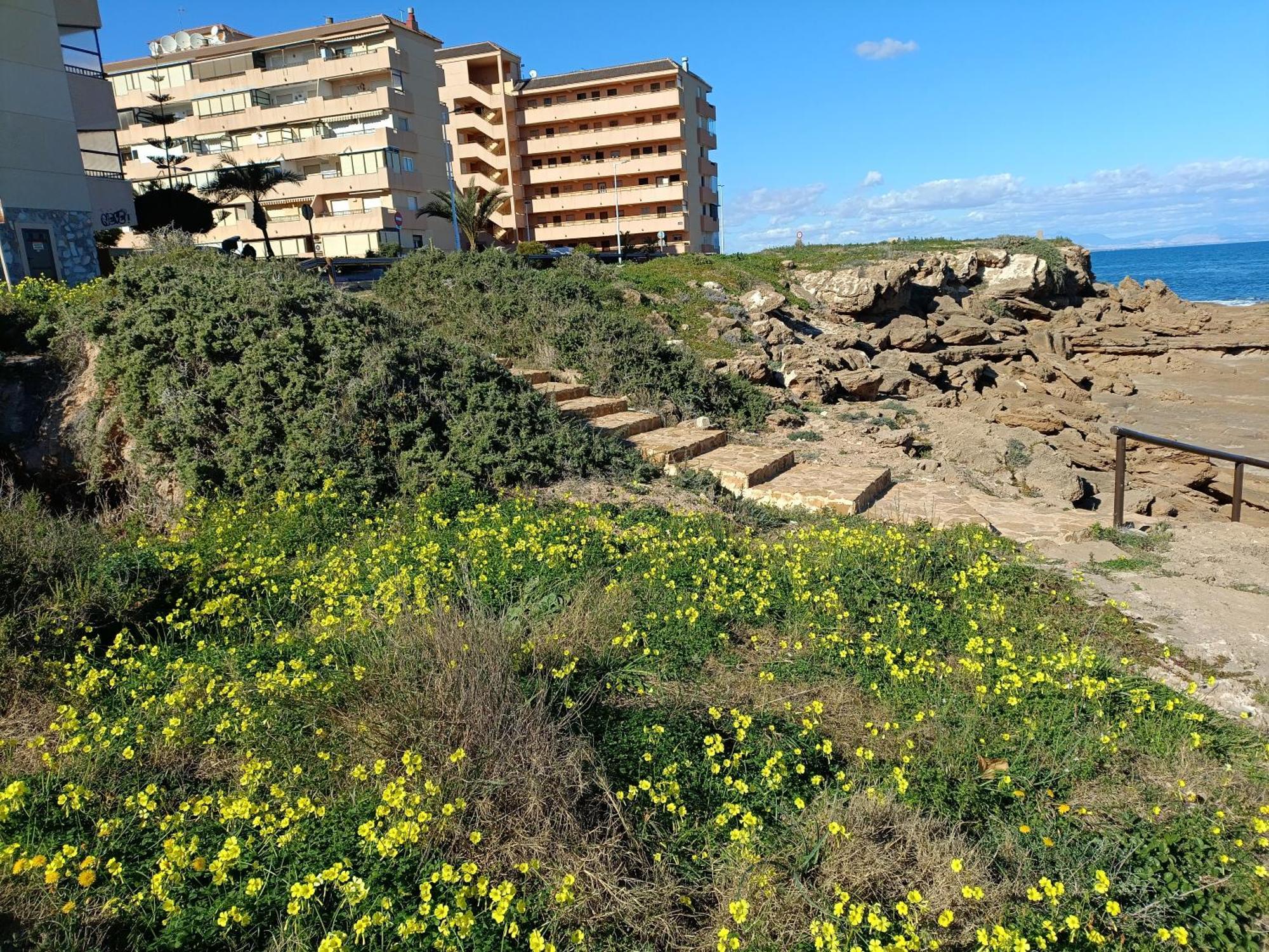 Apartamento Miramar Torrevieja Exteriör bild